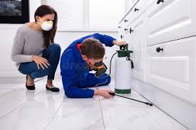 Best Pest Control for Multi-Family Homes  in Sawmills, NC